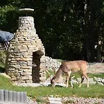 Lesna Polana- Blisko Centrum, Mini Spa, Cicha, Spokojna Okolica, Parking Gratis Resort Krynica Zdroj