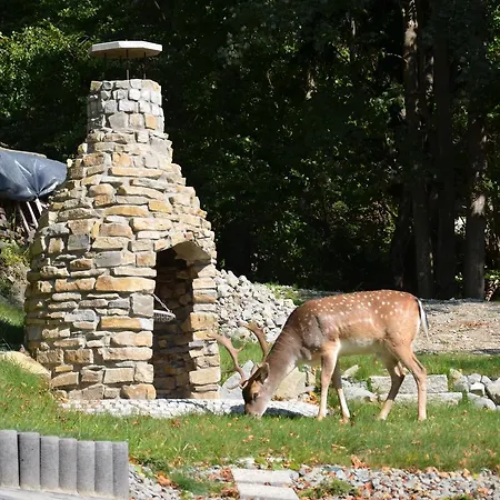 Lesna Polana- Blisko Centrum, Mini Spa, Cicha, Spokojna Okolica, Parking Gratis Resort Krynica-Zdrój