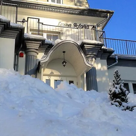 Lesna Polana- Blisko Centrum, Mini Spa, Cicha, Spokojna Okolica, Parking Gratis 3* クリニツァ・ズドルイ