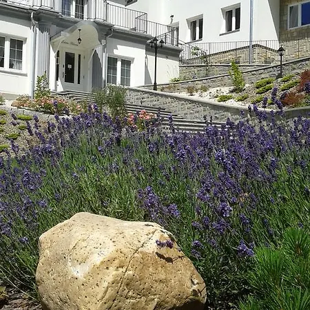 Lesna Polana- Blisko Centrum, Mini Spa, Cicha, Spokojna Okolica, Parking Gratis 3* Krynica Zdroj