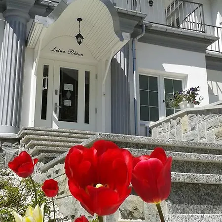 Resort Lesna Polana- Blisko Centrum, Mini Spa, Cicha, Spokojna Okolica, Parking Gratis 3*