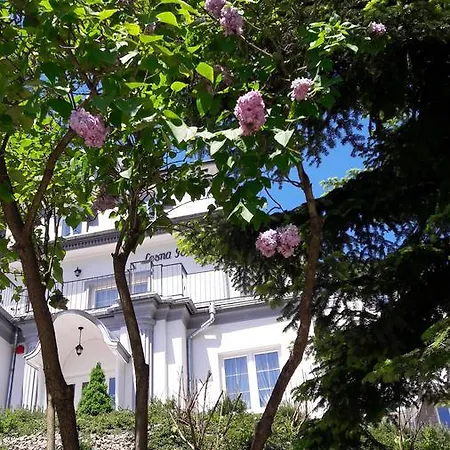 Lesna Polana- Blisko Centrum, Mini Spa, Cicha, Spokojna Okolica, Parking Gratis Resort
