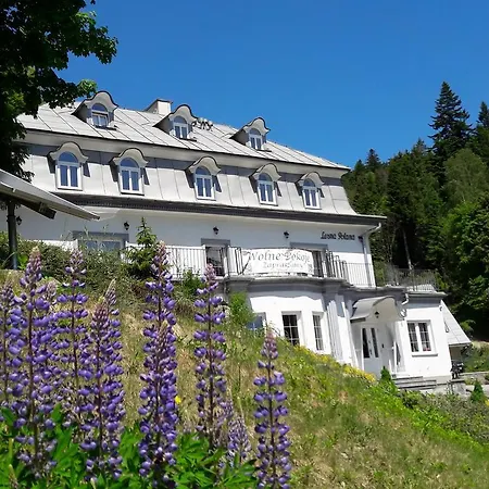 Lesna Polana- Blisko Centrum, Mini Spa, Cicha, Spokojna Okolica, Parking Gratis Resort