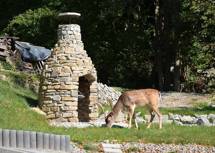 Lesna Polana- Blisko Centrum, Mini Spa, Cicha, Spokojna Okolica, Parking Gratis Resort Krynica Zdroj