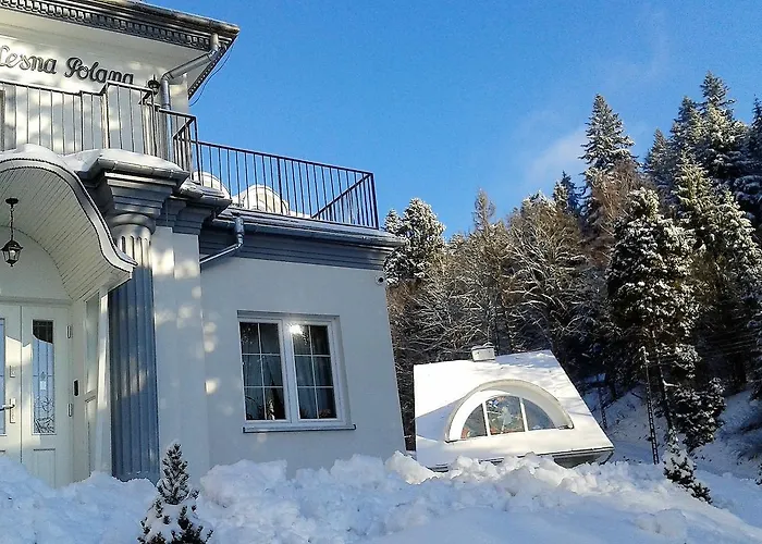 Lesna Polana- Blisko Centrum, Mini Spa, Cicha, Spokojna Okolica, Parking Gratis 3*