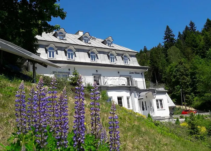 Lesna Polana- Blisko Centrum, Mini Spa, Cicha, Spokojna Okolica, Parking Gratis Resort